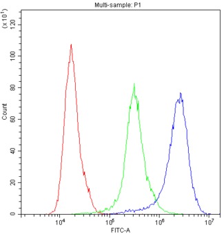 PPIA / Cyclophilin A Antibody - Flow Cytometry analysis of U937 cells using anti-PPIA antibody. Overlay histogram showing U937 cells stained with anti-PPIA antibody (Blue line). The cells were blocked with 10% normal goat serum. And then incubated with rabbit anti-PPIA Antibody (1µg/10E6 cells) for 30 min at 20°C. DyLight®488 conjugated goat anti-rabbit IgG (5-10µg/10E6 cells) was used as secondary antibody for 30 minutes at 20°C. Isotype control antibody (Green line) was rabbit IgG (1µg/10E6 cells) used under the same conditions. Unlabelled sample (Red line) was also used as a control.