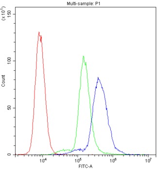 PPIA / Cyclophilin A Antibody - Flow Cytometry analysis of K562 cells using anti-PPIA antibody. Overlay histogram showing K562 cells stained with anti-PPIA antibody (Blue line). The cells were blocked with 10% normal goat serum. And then incubated with rabbit anti-PPIA Antibody (1µg/10E6 cells) for 30 min at 20°C. DyLight®488 conjugated goat anti-rabbit IgG (5-10µg/10E6 cells) was used as secondary antibody for 30 minutes at 20°C. Isotype control antibody (Green line) was rabbit IgG (1µg/10E6 cells) used under the same conditions. Unlabelled sample (Red line) was also used as a control.