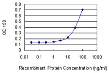 PPIC / Cyclophilin C Antibody - Detection limit for recombinant GST tagged PPIC is 1 ng/ml as a capture antibody.