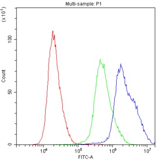 PPID / Cyclophilin D Antibody - Flow Cytometry analysis of U251 cells using anti-PPID antibody. Overlay histogram showing U251 cells stained with anti-PPID antibody (Blue line). The cells were blocked with 10% normal goat serum. And then incubated with rabbit anti-PPID Antibody (1µg/10E6 cells) for 30 min at 20°C. DyLight®488 conjugated goat anti-rabbit IgG (5-10µg/10E6 cells) was used as secondary antibody for 30 minutes at 20°C. Isotype control antibody (Green line) was rabbit IgG (1µg/10E6 cells) used under the same conditions. Unlabelled sample (Red line) was also used as a control.