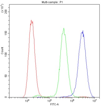 PPID / Cyclophilin D Antibody - Flow Cytometry analysis of U20S cells using anti-PPID antibody. Overlay histogram showing U20S cells stained with anti-PPID antibody (Blue line). The cells were blocked with 10% normal goat serum. And then incubated with rabbit anti-PPID Antibody (1µg/10E6 cells) for 30 min at 20°C. DyLight®488 conjugated goat anti-rabbit IgG (5-10µg/10E6 cells) was used as secondary antibody for 30 minutes at 20°C. Isotype control antibody (Green line) was rabbit IgG (1µg/10E6 cells) used under the same conditions. Unlabelled sample (Red line) was also used as a control.