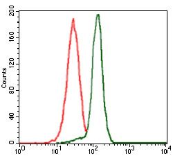 PPM1A / PP2CA Antibody - PPM1A Antibody in Flow Cytometry (Flow)