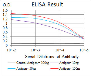 PPM1A / PP2CA Antibody - Red: Control Antigen (100ng); Purple: Antigen (10ng); Green: Antigen (50ng); Blue: Antigen (100ng);
