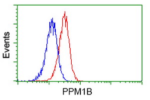 PPM1B Antibody - Flow cytometry of Jurkat cells, using anti-PPM1B antibody (Red), compared to a nonspecific negative control antibody (Blue).