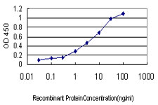 PPOX Antibody - Detection limit for recombinant GST tagged PPOX is approximately 0.1 ng/ml as a capture antibody.