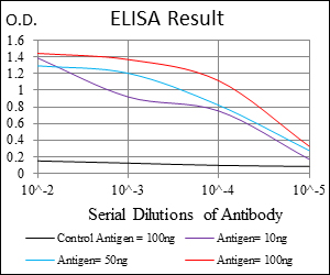 PPP1CA / PP1-Alpha Antibody - Red: Control Antigen (100ng); Purple: Antigen (10ng); Green: Antigen (50ng); Blue: Antigen (100ng);