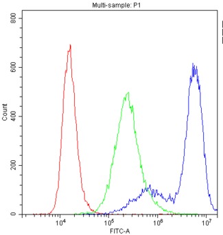 PPP1R12A / MYPT1 Antibody - Flow Cytometry analysis of U251 cells using anti-PPP1R12A antibody. Overlay histogram showing U251 cells stained with anti-PPP1R12A antibody (Blue line). The cells were blocked with 10% normal goat serum. And then incubated with rabbit anti-PPP1R12A Antibody (1µg/10E6 cells) for 30 min at 20°C. DyLight®488 conjugated goat anti-rabbit IgG (5-10µg/10E6 cells) was used as secondary antibody for 30 minutes at 20°C. Isotype control antibody (Green line) was rabbit IgG (1µg/10E6 cells) used under the same conditions. Unlabelled sample (Red line) was also used as a control.