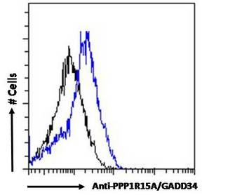 PPP1R15A / GADD34 Antibody - PPP1R15A / GADD34 antibody flow cytometric analysis of paraformaldehyde fixed HepG2 cells (blue line), permeabilized with 0.5% Triton. Primary incubation 1hr (10ug/ml) followed by Alexa Fluor 488 secondary antibody (0.4ug/ml). IgG control: Unimmunized goat IgG (black line) followed by Alexa Fluor 488 secondary antibody.