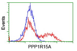 PPP1R15A / GADD34 Antibody - HEK293T cells transfected with either overexpress plasmid (Red) or empty vector control plasmid (Blue) were immunostained by anti-PPP1R15A antibody, and then analyzed by flow cytometry.