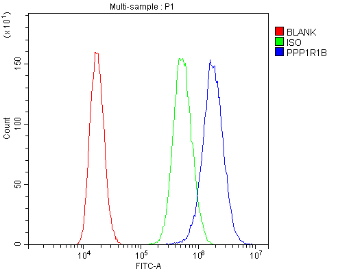 PPP1R1B / DARPP-32 Antibody - Flow Cytometry analysis of PC-3 cells using anti-DARPP32 antibody. Overlay histogram showing PC-3 cells stained with anti-DARPP32 antibody (Blue line). The cells were blocked with 10% normal goat serum. And then incubated with rabbit anti-DARPP32 Antibody (1µg/10E6 cells) for 30 min at 20°C. DyLight®488 conjugated goat anti-rabbit IgG (5-10µg/10E6 cells) was used as secondary antibody for 30 minutes at 20°C. Isotype control antibody (Green line) was rabbit IgG (1µg/10E6 cells) used under the same conditions. Unlabelled sample (Red line) was also used as a control.