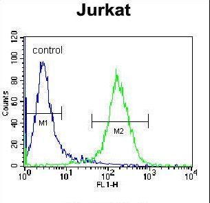 PPP1R3G Antibody - PPP1R3G Antibody flow cytometry of Jurkat cells (right histogram) compared to a negative control cell (left histogram). FITC-conjugated donkey-anti-rabbit secondary antibodies were used for the analysis.
