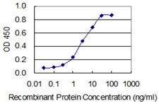 PPP1R8 / Rnase E Antibody - Detection limit for recombinant GST tagged PPP1R8 is 0.1 ng/ml as a capture antibody.