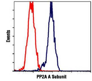 PPP2R1A Antibody - Flow cytometry of NIH/3T3 cells, using Protein Phosphatase 2A, A Subunit  (PP2A)(blue) compared to a non-specific negative control antibody (red).