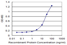 PPP2R5D Antibody - Detection limit for recombinant GST tagged PPP2R5D is 0.3 ng/ml as a capture antibody.
