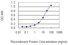 PPP3CC / CALNA3 Antibody - Detection limit for recombinant GST tagged PPP3CC is 0.3 ng/ml as a capture antibody.