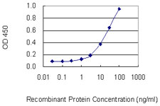 PPP4C Antibody - Detection limit for recombinant GST tagged PPP4C is 0.3 ng/ml as a capture antibody.