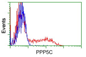 PPP5C Antibody - HEK293T cells transfected with either overexpress plasmid (Red) or empty vector control plasmid (Blue) were immunostained by anti-PPP5C antibody, and then analyzed by flow cytometry.
