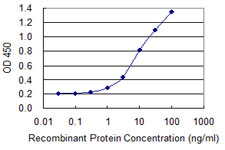 PPP6C Antibody - Detection limit for recombinant GST tagged PPP6C is 0.3 ng/ml as a capture antibody.