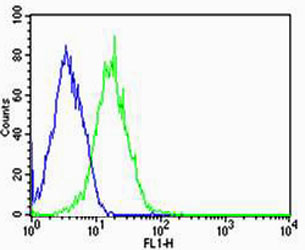 PPT1 / CLN1 Antibody - Flow cytometric of HepG2 cells with PPT1 Antibody (green) compared to an isotype control of mouse IgG1 (blue). Antibody was diluted at 1:25 dilution. An Alexa Fluor 488 goat anti-mouse lgG at 1:400 dilution was used as the secondary antibody.