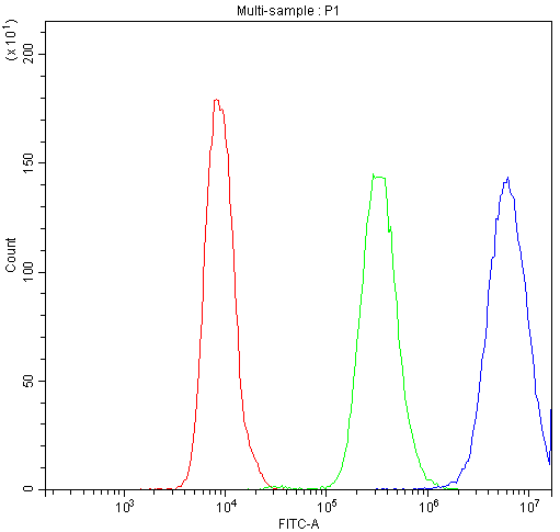 PPT1 / CLN1 Antibody - Flow Cytometry analysis of SiHa cells using anti-PPT1 antibody. Overlay histogram showing SiHa cells stained with anti-PPT1 antibody (Blue line). The cells were blocked with 10% normal goat serum. And then incubated with rabbit anti-PPT1 Antibody (1µg/10E6 cells) for 30 min at 20°C. DyLight®488 conjugated goat anti-rabbit IgG (5-10µg/10E6 cells) was used as secondary antibody for 30 minutes at 20°C. Isotype control antibody (Green line) was rabbit IgG (1µg/10E6 cells) used under the same conditions. Unlabelled sample (Red line) was also used as a control.