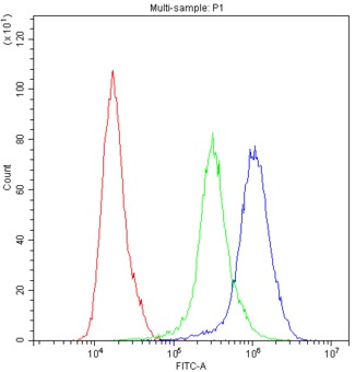 PPT1 / CLN1 Antibody - Flow Cytometry analysis of THP-1 cells using anti-PPT1 antibody. Overlay histogram showing THP-1 cells stained with anti-PPT1 antibody (Blue line). The cells were blocked with 10% normal goat serum. And then incubated with rabbit anti-PPT1 Antibody (1µg/10E6 cells) for 30 min at 20°C. DyLight®488 conjugated goat anti-rabbit IgG (5-10µg/10E6 cells) was used as secondary antibody for 30 minutes at 20°C. Isotype control antibody (Green line) was rabbit IgG (1µg/10E6 cells) used under the same conditions. Unlabelled sample (Red line) was also used as a control.