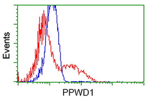PPWD1 Antibody - HEK293T cells transfected with either overexpress plasmid (Red) or empty vector control plasmid (Blue) were immunostained by anti-PPWD1 antibody, and then analyzed by flow cytometry.
