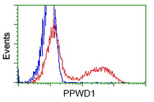 PPWD1 Antibody - HEK293T cells transfected with either overexpress plasmid (Red) or empty vector control plasmid (Blue) were immunostained by anti-PPWD1 antibody, and then analyzed by flow cytometry.