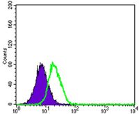 PPY / Pancreatic Polypeptide Antibody - PPY Antibody in Flow Cytometry (Flow)