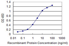 PQBP1 Antibody - Detection limit for recombinant GST tagged PQBP1 is 0.03 ng/ml as a capture antibody.