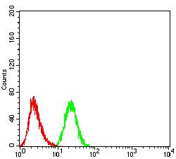 PRDM14 Antibody - Flow cytometric analysis of A549 cells using PRDM14 mouse mAb (green) and negative control (red).