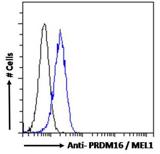 PRDM16 Antibody - PRDM16 / MEL1 antibody flow cytometric analysis of paraformaldehyde fixed HEK293 cells (blue line), permeabilized with 0.5% Triton. Primary incubation 1hr (10ug/ml) followed by Alexa Fluor 488 secondary antibody (1ug/ml). IgG control: Unimmunized goat IgG (black line) followed by Alexa Fluor 488 secondary antibody.