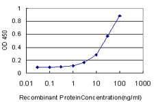 PRDX1 / Peroxiredoxin 1 Antibody - Detection limit for recombinant GST tagged PRDX1 is approximately 1 ng/ml as a capture antibody.