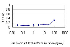 PRDX2 / Peroxiredoxin 2 Antibody - Detection limit for recombinant GST tagged PRDX2 is approximately 1 ng/ml as a capture antibody.