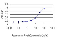 PRELID1 Antibody - Detection limit for recombinant GST tagged PX19 is approximately 3 ng/ml as a capture antibody.