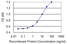 PREP / Prolyl Endopeptidase Antibody - Detection limit for recombinant GST tagged PREP is 0.3 ng/ml as a capture antibody.