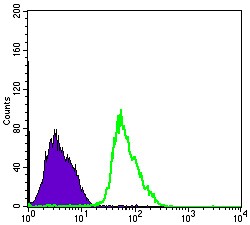 PRKAA1 / AMPK Alpha 1 Antibody - Flow Cytometry: AMPK alpha 1 Antibody (2B7) - Flow cytometric analysis of PC-2 cells using AMPK alpha 1 mouse mAb (green) and negative control (purple).