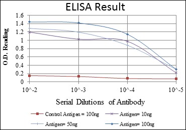 PRKAA1 / AMPK Alpha 1 Antibody - ELISA: AMPK alpha 1 Antibody (2B7) - Red: Control Antigen (100ng); Purple: Antigen (10ng); Green: Antigen (50ng); Blue: Antigen (100ng).