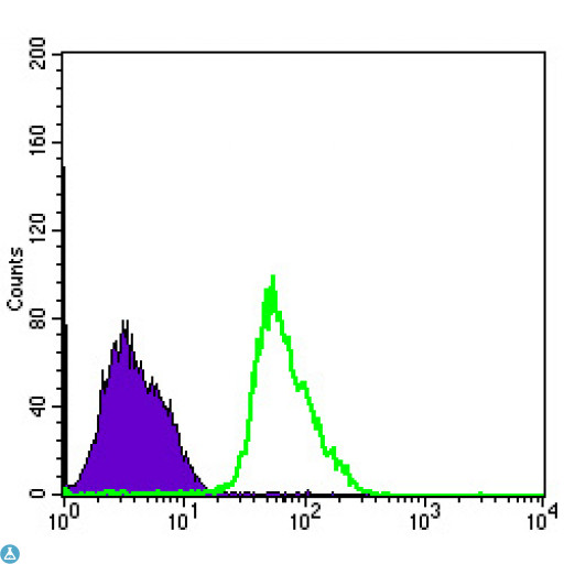 PRKAA1 / AMPK Alpha 1 Antibody - Flow cytometric (FCM) analysis of PC-2 cells using AMPKalpha1 Monoclonal Antibody (green) and negative control (purple).