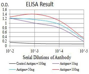 PRKAB2 / AMPK Beta 2 Antibody - Black line: Control Antigen (100 ng);Purple line: Antigen (10ng); Blue line: Antigen (50 ng); Red line:Antigen (100 ng)