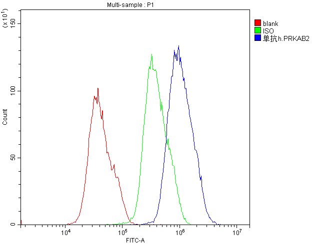 PRKAB2 / AMPK Beta 2 Antibody - Flow Cytometry analysis of PC-3 cells using anti-AMPK beta 2 antibody. Overlay histogram showing PC-3 cells stained with anti-AMPK beta 2 antibody (Blue line). The cells were blocked with 10% normal goat serum. And then incubated with mouse anti-AMPK beta 2 Antibody (1µg/10E6 cells) for 30 min at 20°C. DyLight®488 conjugated goat anti-mouse IgG (5-10µg/10E6 cells) was used as secondary antibody for 30 minutes at 20°C. Isotype control antibody (Green line) was mouse IgG (1µg/10E6 cells) used under the same conditions. Unlabelled sample (Red line) was also used as a control.