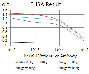 PRKACG Antibody - Red: Control Antigen (100ng); Purple: Antigen (10ng); Green: Antigen (50ng); Blue: Antigen (100ng);