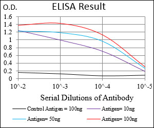 PRKAG1 / AMPK Gamma 1 Antibody - Red: Control Antigen (100ng); Purple: Antigen (10ng); Green: Antigen (50ng); Blue: Antigen (100ng);