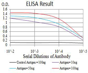 PRKAG3 / AMPK Gamma 3 Antibody - Black line: Control Antigen (100 ng);Purple line: Antigen (10ng); Blue line: Antigen (50 ng); Red line:Antigen (100 ng)