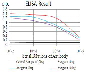 PRKAG3 / AMPK Gamma 3 Antibody - Black line: Control Antigen (100 ng);Purple line: Antigen (10ng); Blue line: Antigen (50 ng); Red line:Antigen (100 ng)