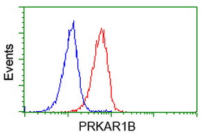 PRKAR1B Antibody - Flow cytometry of Jurkat cells, using anti-PRKAR1B antibody (Red), compared to a nonspecific negative control antibody (Blue).