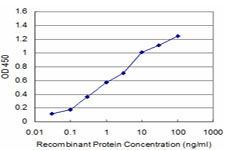 PRKAR2A Antibody - Detection limit for recombinant GST tagged PRKAR2A is approximately 0.03 ng/ml as a capture antibody.