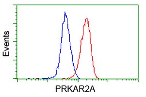 PRKAR2A Antibody - Flow cytometry of HeLa cells, using anti-PRKAR2A antibody (Red), compared to a nonspecific negative control antibody (Blue).
