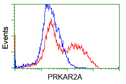 PRKAR2A Antibody - HEK293T cells transfected with either overexpress plasmid (Red) or empty vector control plasmid (Blue) were immunostained by anti-PRKAR2A antibody, and then analyzed by flow cytometry.