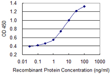PRKCD / PKC-Delta Antibody - Detection limit for recombinant GST tagged PRKCD is 0.03 ng/ml as a capture antibody.