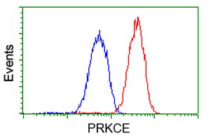 PRKCE / PKC-Epsilon Antibody - Flow cytometry of Jurkat cells, using anti-PRKCE antibody (Red), compared to a nonspecific negative control antibody (Blue).